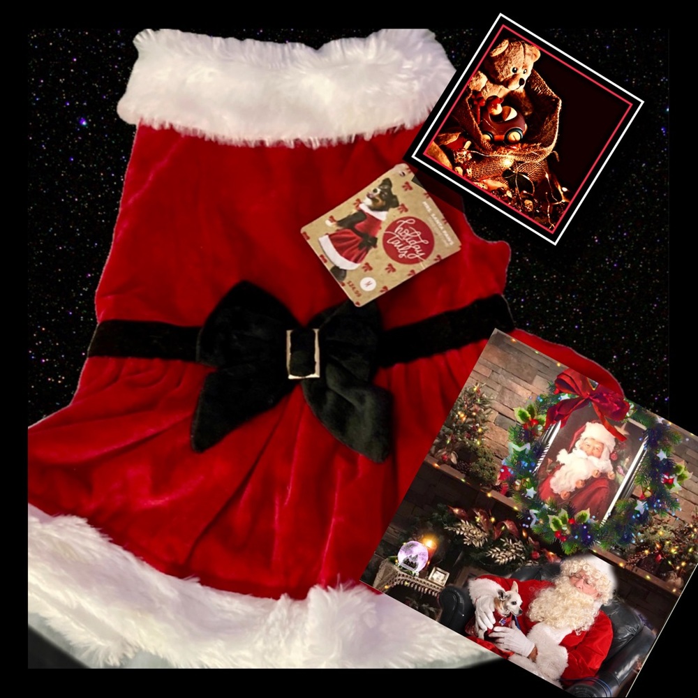 Mrs. Claus Dog Christmas Dress - Picture 1 of 3